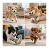 2 Pieces Dog Toy, Chew Toy, Talking Plush, Dinosaur Design, Chew Resistant, Tooth Brushing Prevention, Educational, Stress Relief, Soft Material,