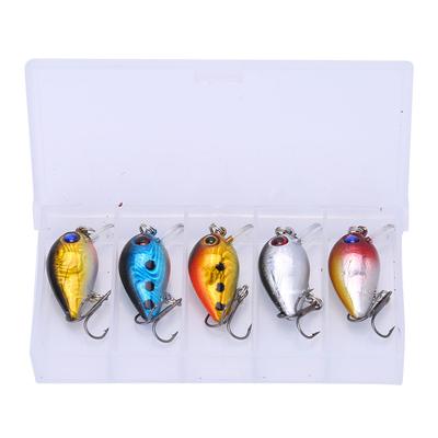 5 Stück 3cm 3D Holographische Augen Mini Angelköder Schwimmende Mikro Bass Köder Crankbait Drilling