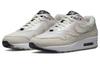 Nike Air Max 1 'Air Max Day La Ville Lumire' Women's DQ9326-100