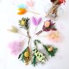 Dried Flower Bouquet High-Quality Fingertip Bouquet Greeting Card Decoration Versatile Diy Flower Kit For Diy Projects Event