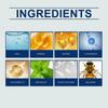 For Concentrated Mouthwash Bee Venom Mint Mouthwash Drops Fluoridefree Mint Mouthwash With Natural Ess