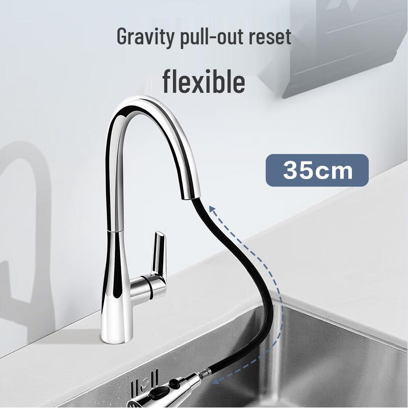 Kitchen Faucet with Pull-Out Sprayer