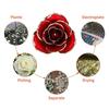 24 Karat vergoldete Rose mit langem Stiel in einer Geschenkbox mit durchsichtigem Deckel. Rote Rosen für sie.