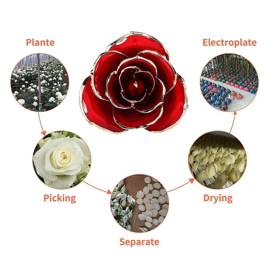 24 Karat vergoldete Rose mit langem Stiel in einer Geschenkbox mit durchsichtigem Deckel. Rote Rosen für sie.