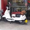 Electric Motorcycle Saddlebag Rear Seat Luggage Rack Bag