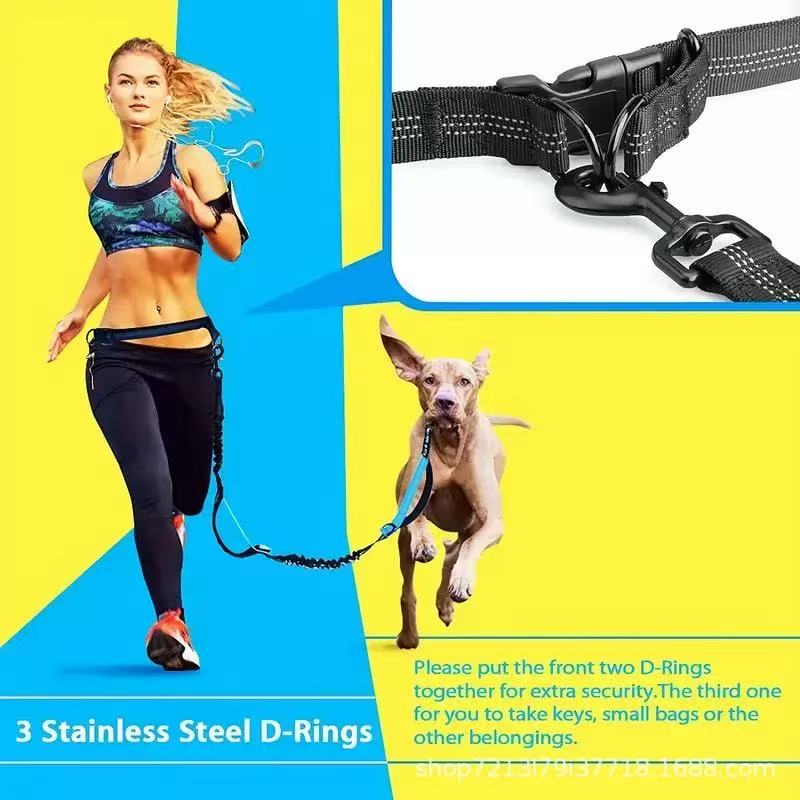 Hands-Free Bungee Dog Leash for Running & Walking - Dual Shock Absorbing, Adjustable Waist Belt, Reflective Stitching, 3 Stainless Steel D-Rings