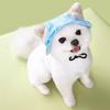 BOOTEELY Hot Selling Summer Pet Sun Hat Comfortable and Breathable Pet Bucker Hat for Dog