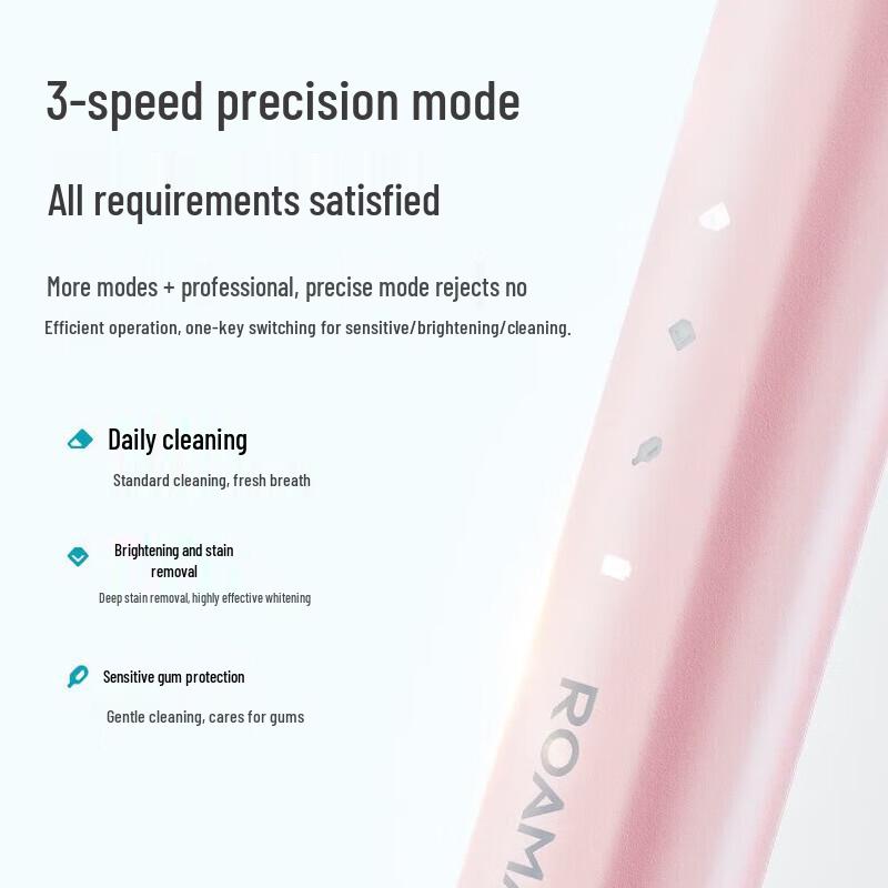 ROAMAN T10X-H-P02 Sonic Electric Toothbrush CN Plug (adapter Included)