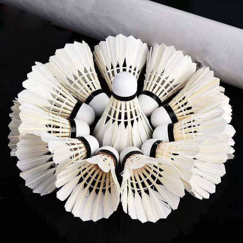 12pcs Badminton Shuttlecocks Professional White High Speed Duck Feather Badminton Ball for Game Training Sport Practice Youth