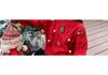 2026 Winter Women's Loose Round Neck Knit Pullover Sweater In Christmas Red