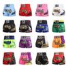 ANOTHERBOXER Muay Thai MMA Boxing Training Shorts