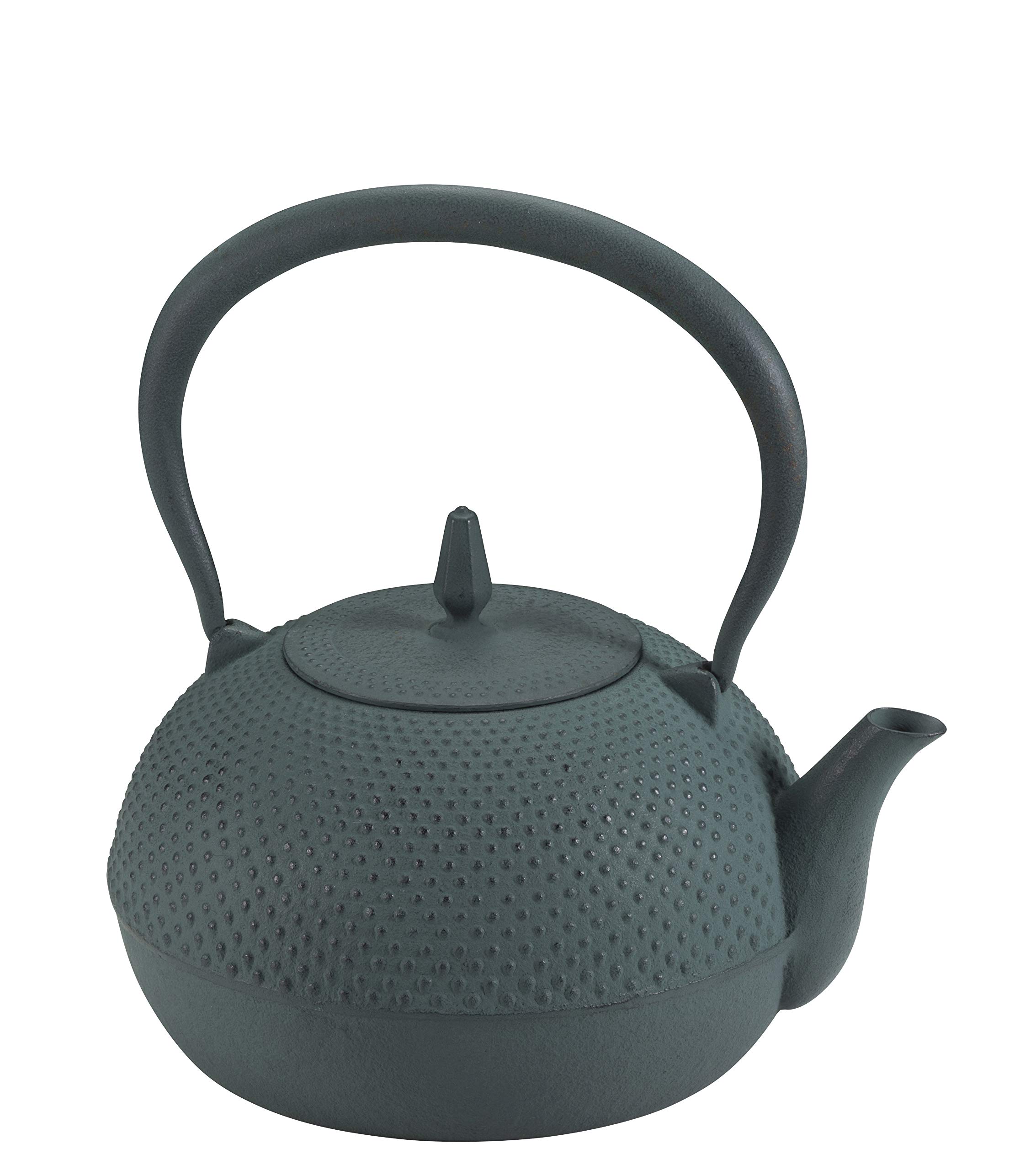 

Ikenaga Iron Works Living with Iron Nanbu Iron Kettle, Gardenia Design, 1.2L, IH Compatible, Small, Green Bamboo, Gift Wrapping Available