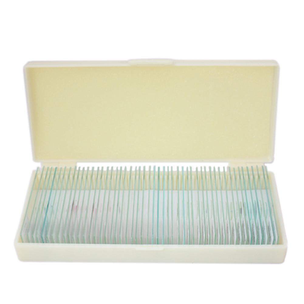 Microscope Specimen Slides for Kids with Educational Biology Focus