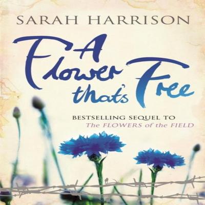 A Flower Thats Free by Sarah Harrison Paperback Book 9781409128779