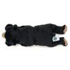 Calorata Malayan Sun Bear Plush Toy Realistic Bear Animal Toy Doll Gift Present Birthday Christmas Present (Nestling Series/Soft Touch) (Twice Tested)