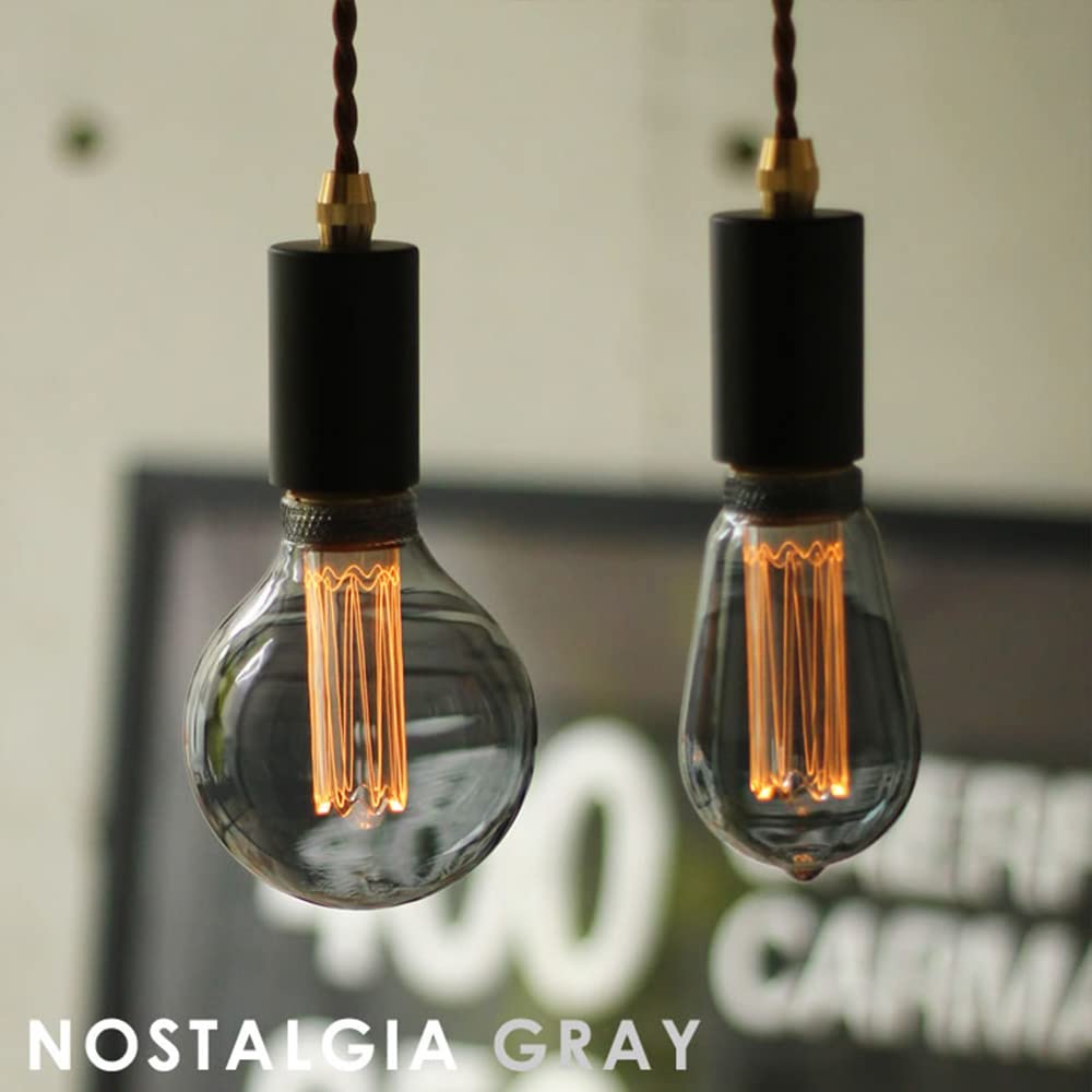 Nostalgia Edison LED Bulb, GLOBE, Gray, Clear Glass, Dimmable, Globe Shape, Warm White, 2200K, 10W Equivalent, G95 (Outer Diameter 95mm), 100lm, E26,