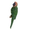 2 Parrot Animal Desktop Ornament Model 31cm