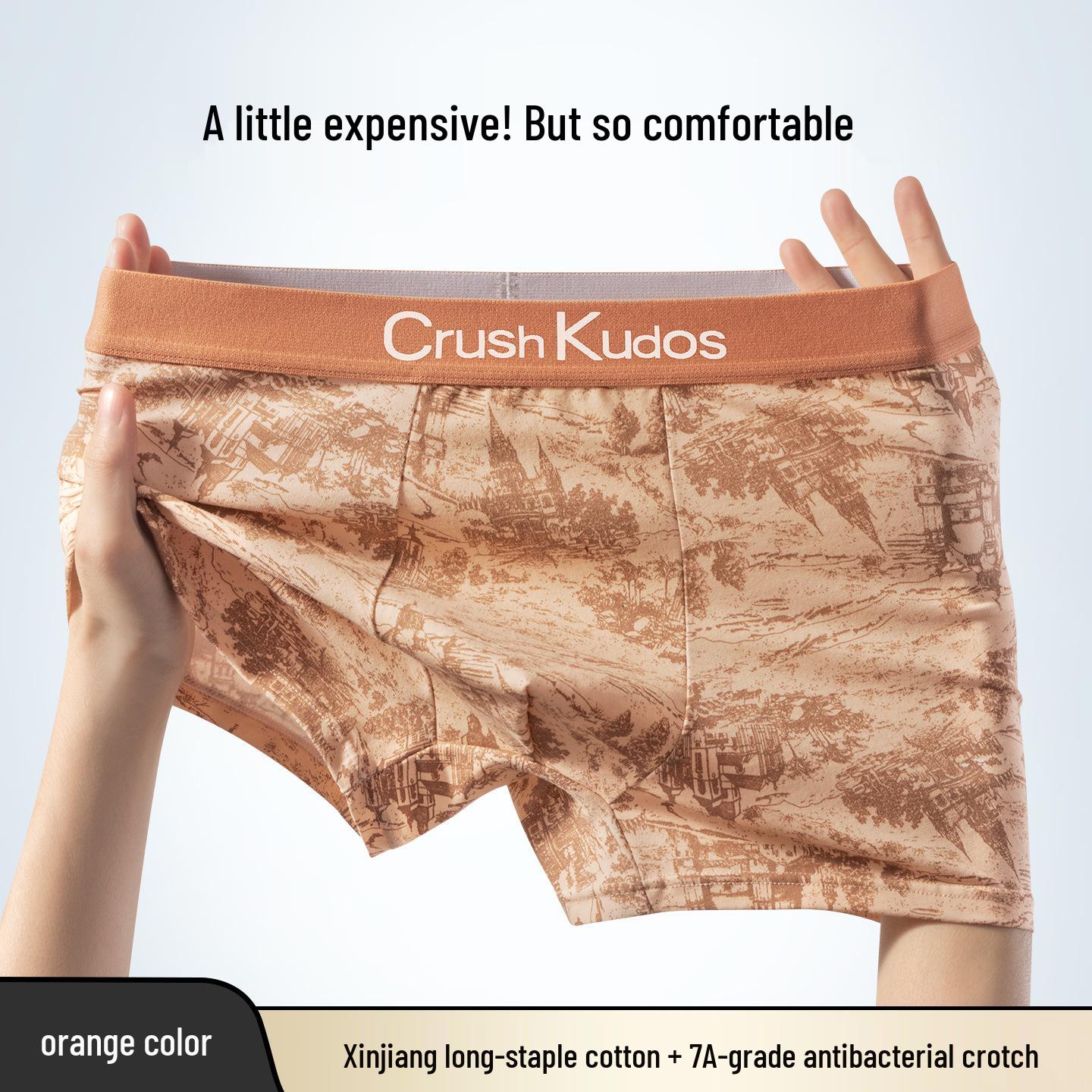 

Мужские боксеры-брифы из шелка и хлопка с антибактериальным эффектом - Дышащие и удобные 4XL (160-180 catty)