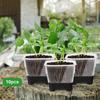 Ghivece de flori și coșuri – Containere pentru răsad