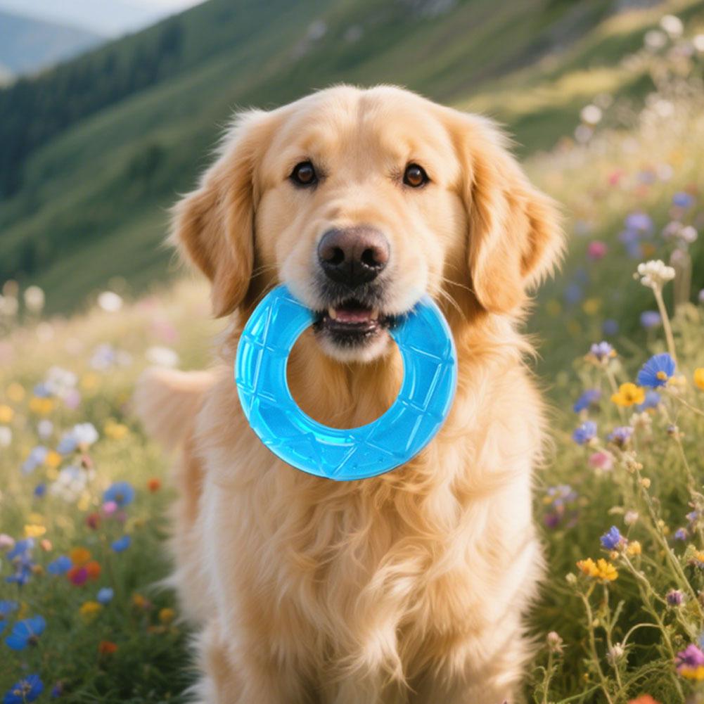 Dog Ice Stick Relieving Heat Cooling Pet Supplies Water Injection Tooth Grinding Toy Set Chew Puppy Outdoor Treat Training