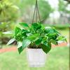 1 Set Hanging Flowerpot Self-Watering Visible Water Level Hanging Planter Pot Basket with Drainage Holes for Indoor Outdoor