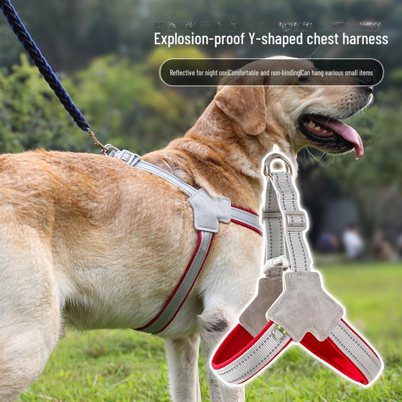 Medium-Large Dog Y-Shaped Escape-Proof Harness and Leash Set