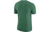 Nike T Shirts Men's Green Crew Neck Moderate Straight Fit FJ0228-312