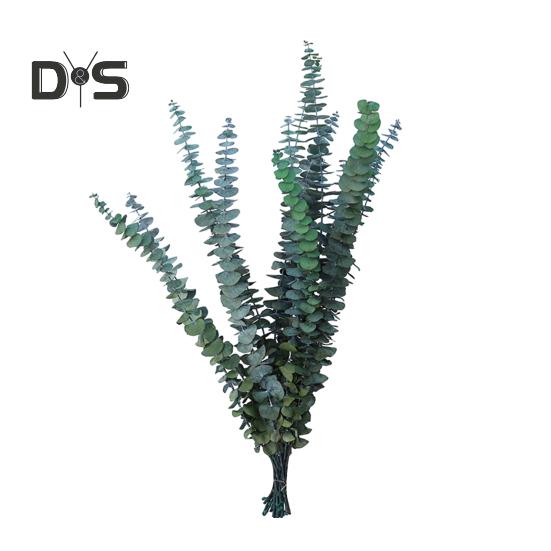 

10 шт., натуральные листья эвкалипта, ветка, неувядающие многоразовые зеленые растения, цветочная композиция, домашняя ваза, украшение, реквизит для фотографий зелёный