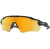 Oakley Radar EV Path Polarized Sports Glasses for Cycling