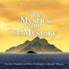 The Mystics and The Mystery by Cheryl Lafferty Eckl Paperback Book 9781734645064