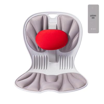 Miling Lumbar Support Office Chair Cushion