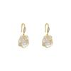 Elegant Camellia Flower Ear Hooks - 2023 Light Luxury Temperament Earrings for Women
