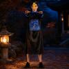 Stage Performance Halloween Costume Qing Dynasty Officials Cosplay Costume  Stage Drama
