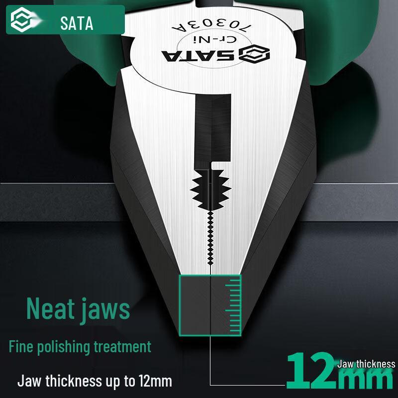 Sata Carbon Steel Needle Nose Pliers