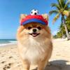Adjustable Pet Sun Hat Football Shape Dog Visor Hats Adorable Cat Sunshade Cap  Outdoor