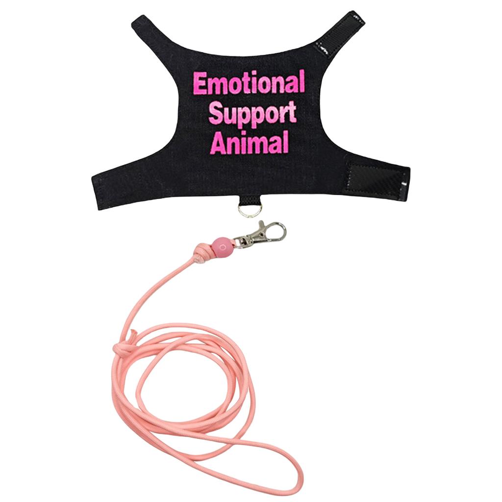 Schöne Reptiliengeschirre, Anzug für Eidechsen-Trainingsgeschirre, verschleißfester Seilgürtel für Spaziergänge im Freien