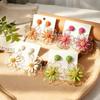 Dopamine Flower Earrings Female Ins Niche Bohemian Vacation Wind Raffia Earrings Travel Photo Earrings