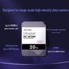 Western Digital 20TB HC560 Enterprise SAS Hard Drive