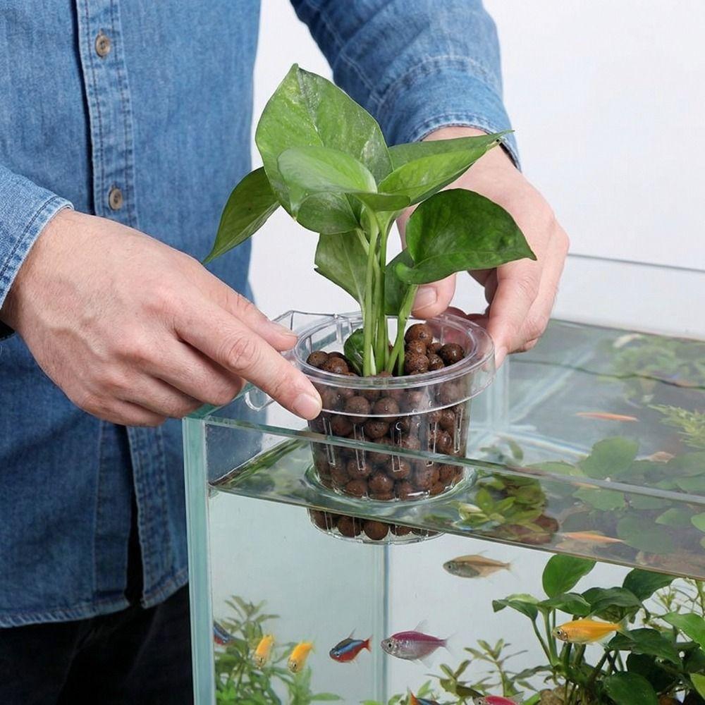 Transparent Fish Tank Grass Cup Round Hanging Aquarium Planting Basket Wall Mounted Plastic Hydroponic Support