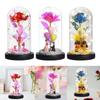 Rose Flower with Glass Cover in Dome Bedside Lamp Creative LED Night Light