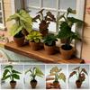 1:12 Dollhouse Miniature Plant  Miniature Dollhouse Decorations