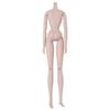 Solid Doll Jointed Nude BJD Dolls Movable Super Model Doll  Body Girl Toys