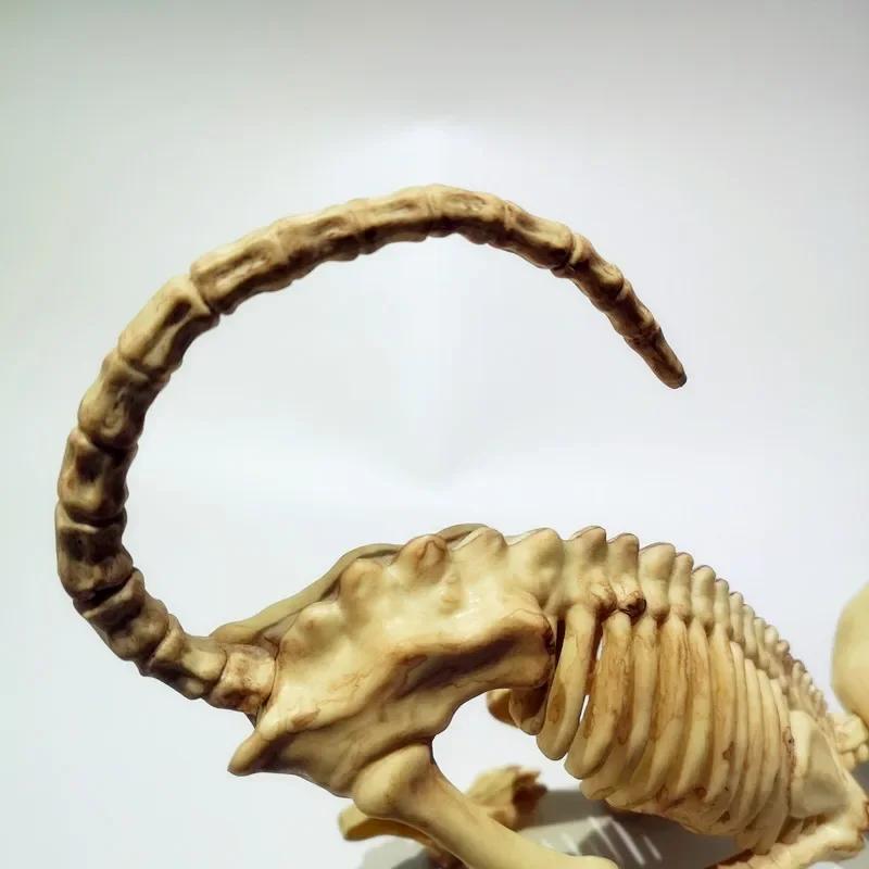 Creative Halloween Scary Skeleton Decoration Crouching Cat Skeleton Cat Skull Model Creepy Animal Bones for VAMPIRE Party Trick