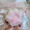 Squeeze Rice Ball Paw Print Bouncy Texture Watery and Stress Relief Relaxing Squeeze Durable Suitable for Children and Gift Toy, Shape, [New Feel!