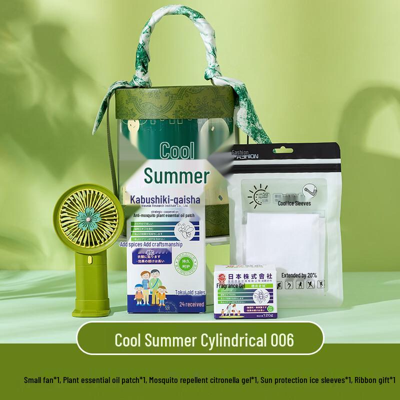 DH Portable Cooling Mini Fan Set