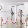 Velvet Ropes and Posts, 5 ft/1.5 m Red Rope, Stainless Steel Gold Stanchion with Ball Top, Red Crowd Control Barrier Used for Theaters, Party,