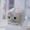 Cute Cartoon Cat Plush Toy Keychain Fluffy Pp Cotton Bag Accessory