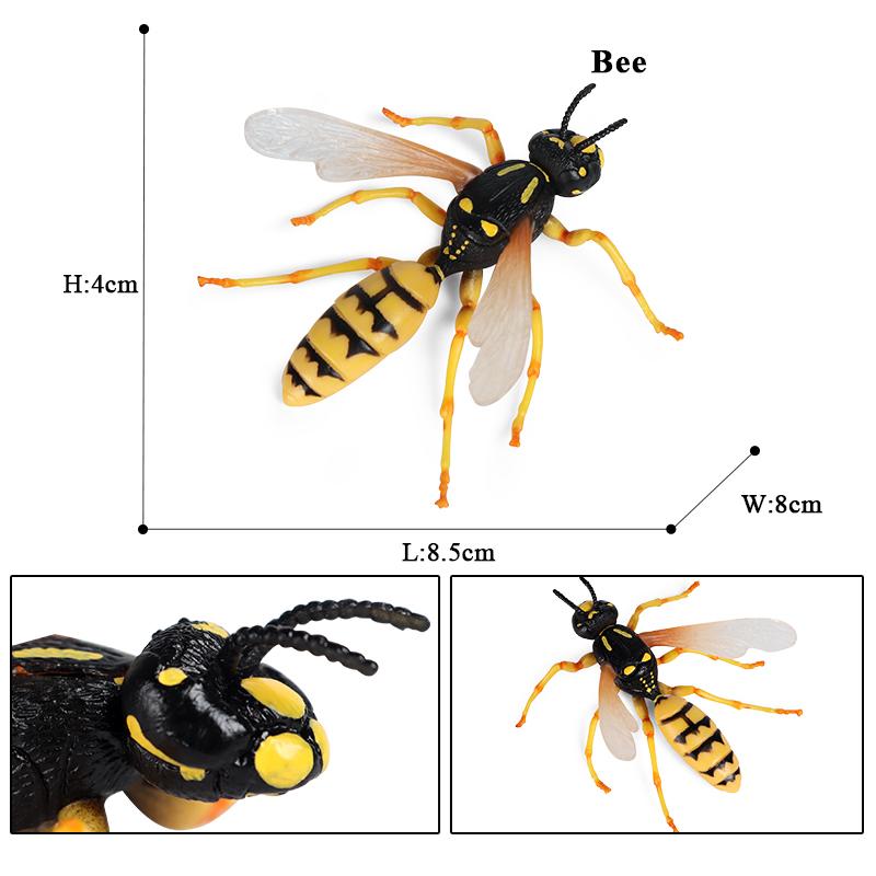 Oenux  Insect Animals Model Butterfly Bee Dragonfly Mantis Ant Snail Action Figures Jouet Collection Decor Kids Education Toy