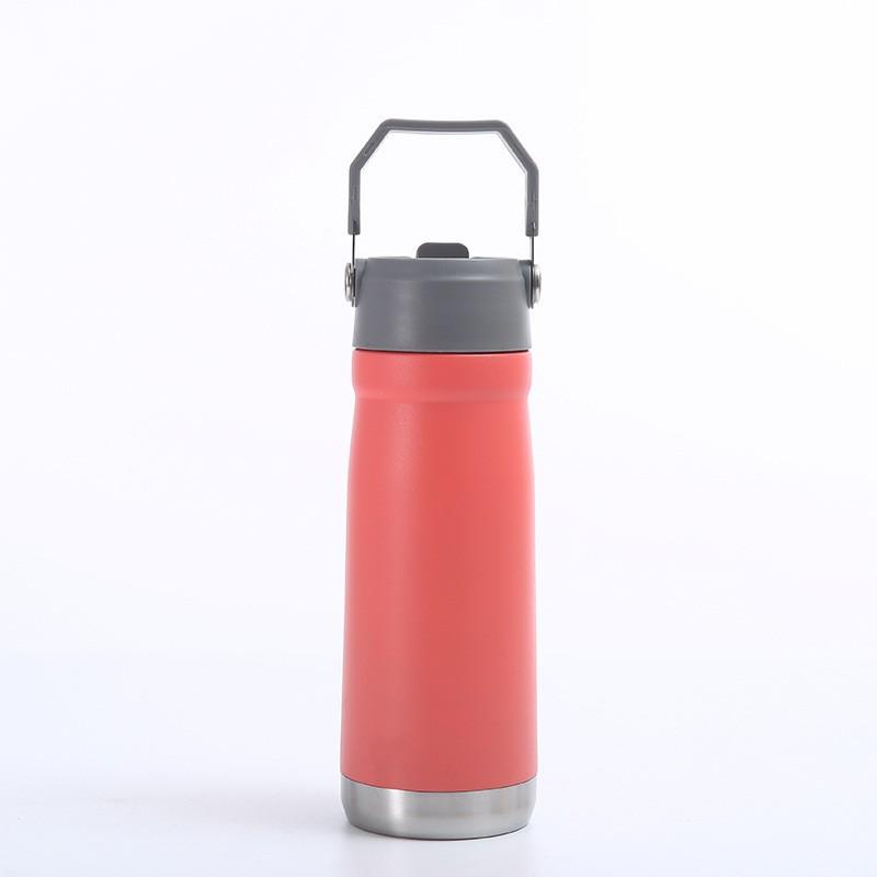 Stainless Steel Vacuum Insulated Travel Mug With Straw Lid 650ml Car Office Gym Outdoor Use