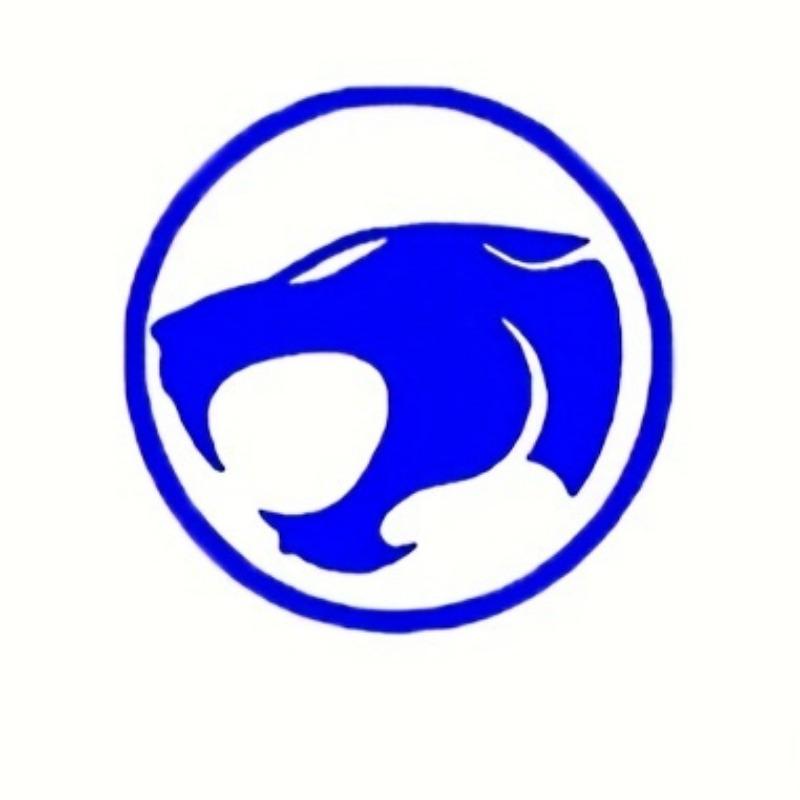 

1 шт. Виниловая наклейка Thunder Cats Самоклеящаяся наклейка Наклейка на автомобиль Сделай сам Крыло мотоцикла Топливный бак Водонепроницаемые виниловые наклейки 13x13CM